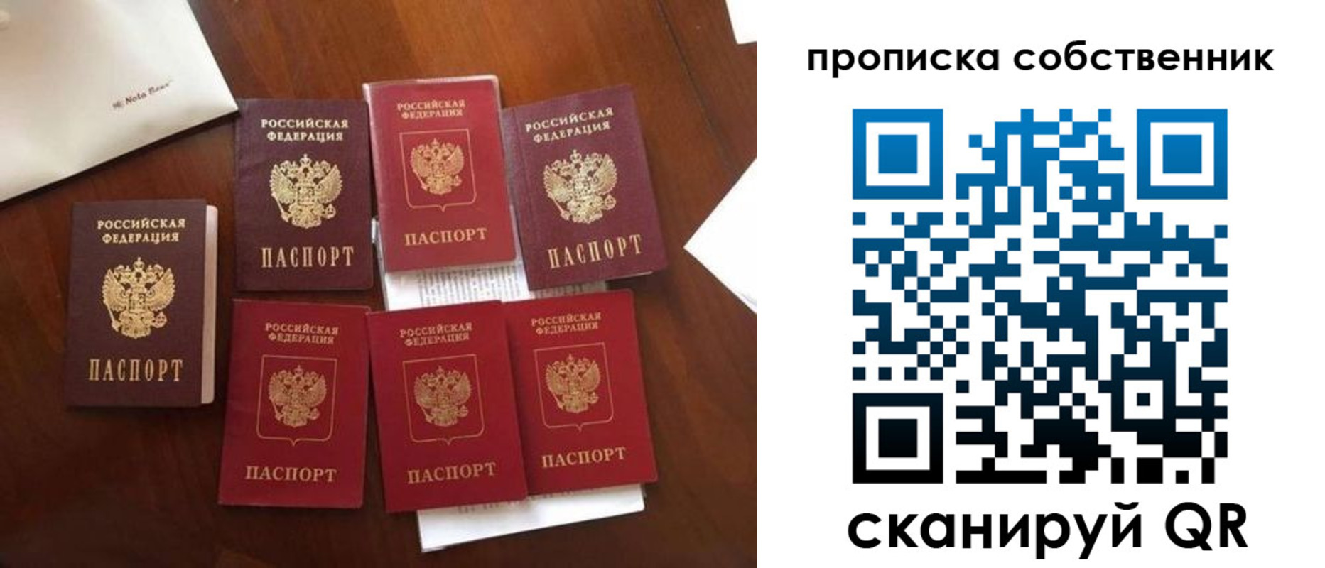 прописка для школы в Мурманской области