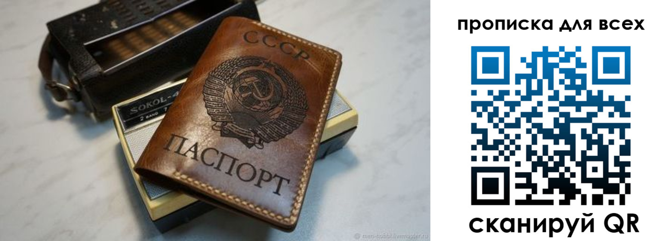 прописка в квартире в Мурманской области